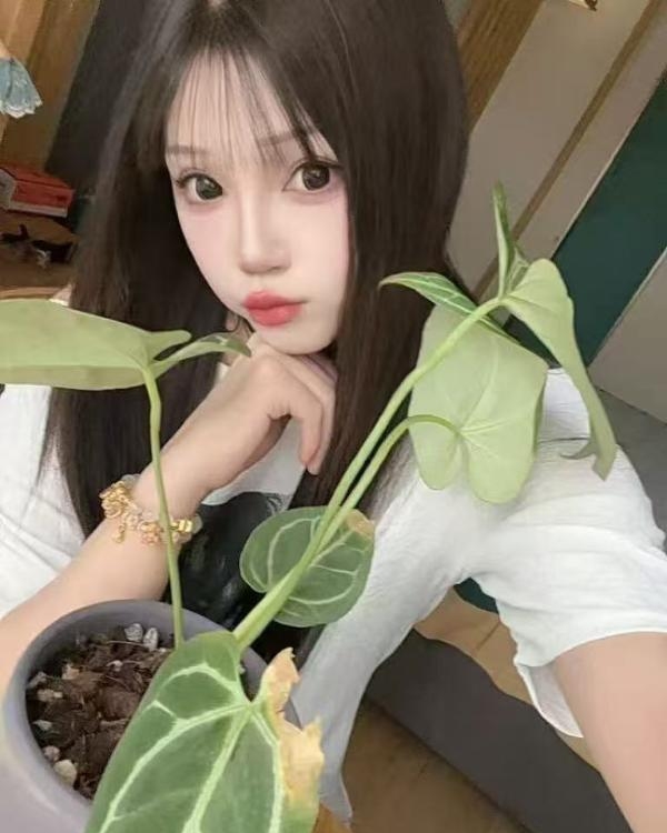 又萝又御的汉口小妹